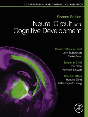 cover image of Neural Circuit and Cognitive Development